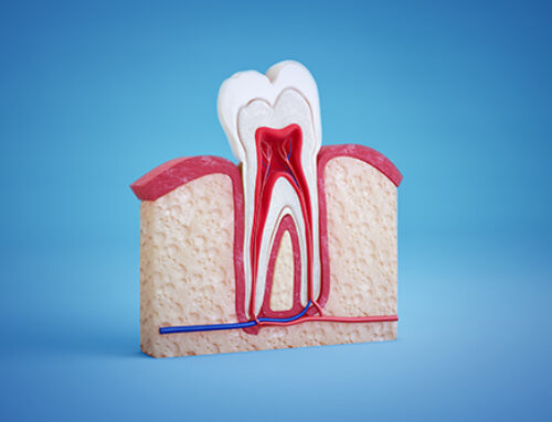 Natural zinc concentration in dentine mapped across entire teeth